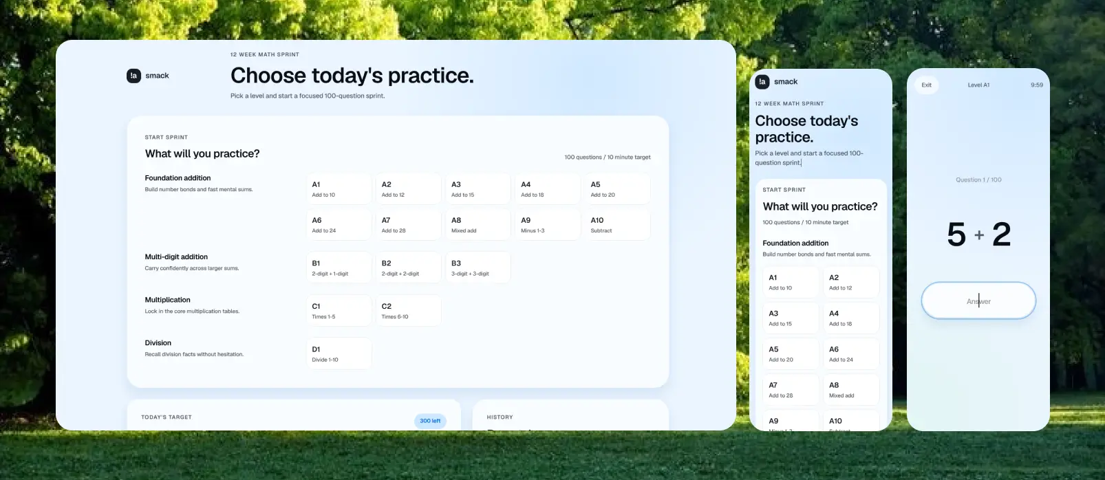 smack overview